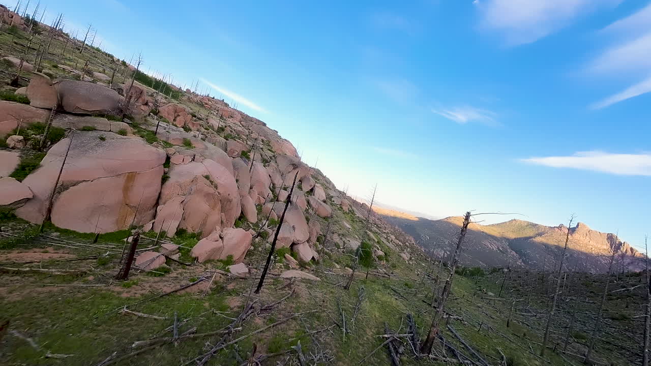외 ⁇  산 이자벨 국립 숲 위의 빠른 fpv는 산불의 후유증을 보여줍니다.