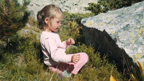 a blond child girl sitting by a blueberry bush near a large rock in the mountains. picks and eats blueberries from the bush. on the rila lakes in the rila mountains in bulgaria