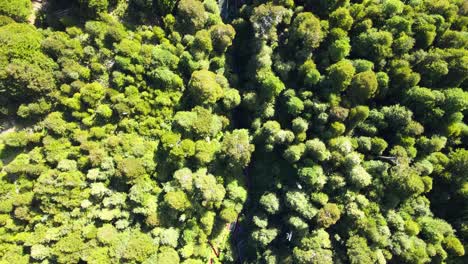 Aerial-dolly-in-over-Termas-Geometricas-hot-spring-complex,-hidden-in-ravine-surrounded-by-rain-forest,-Coñaripe,-Chile