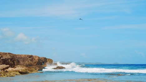 slow motion, pelican flying over crashing waves on caribbean beach, curacao