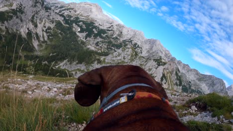 las imágenes de pov se filmaron con una gopro encima de un perro caminando en la cima de la montaña en los alpes eslovenos, rodeado de montañas y hermosos paisajes en un clima nublado-2