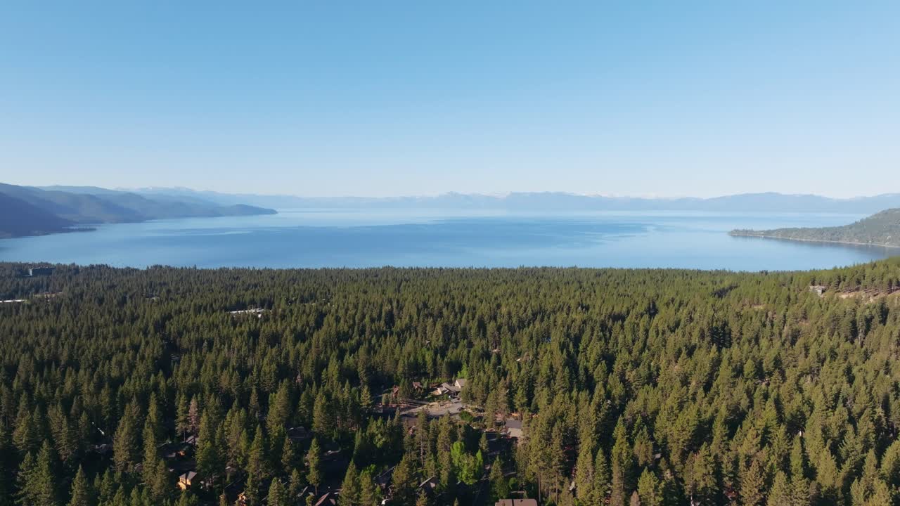 Fejende droneoptagelser afslører den tætte skov af Tahoe-fyrretræer med Lake Tahoe i det fjerne under en klar blå himmel