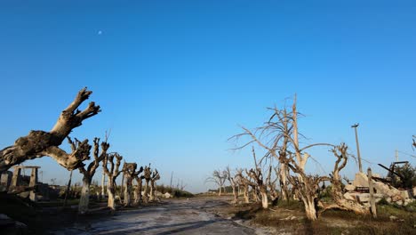 Antigua-Calle-Atraviesa-La-Ciudad-De-Epecuen-Buenos-Aires