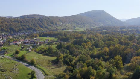 forest with mountains in background on sunny day with lens flare