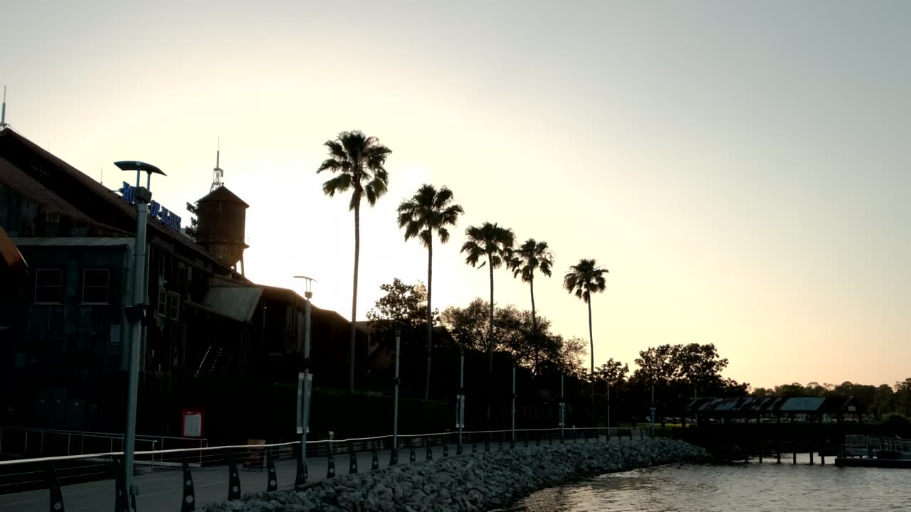 hermoso amanecer con palmeras y playa