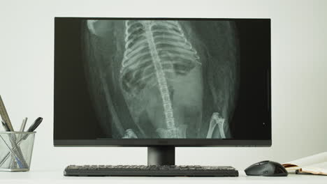 veterinary x-ray diagnosis