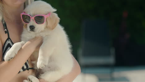 una mujer en bikini sostiene a un cachorro rubio con gafas de sol en sus brazos. verano y vacaciones con un concepto de mascota