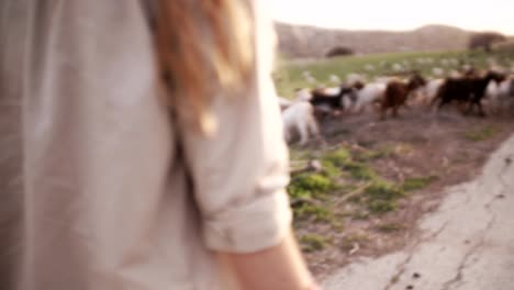 young female farmer walking in a farm with goats