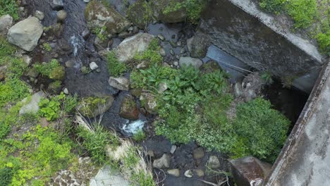 Aerial-top-down-view-of-stream-running-through-rural-Japan,-Tottori-Prefecture