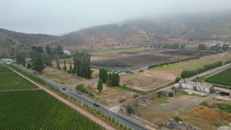 Camino-Y-Viñedo-De-Uva-En-La-Región-Metropolitana-De-Chile.