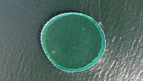 Aerial-drone-shot-vertical-top-view-from-low-to-high-altitude-of-a-fishnet.
