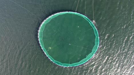 drone aéreo disparado vista vertical superior de baja a alta altitud de una red de pesca.