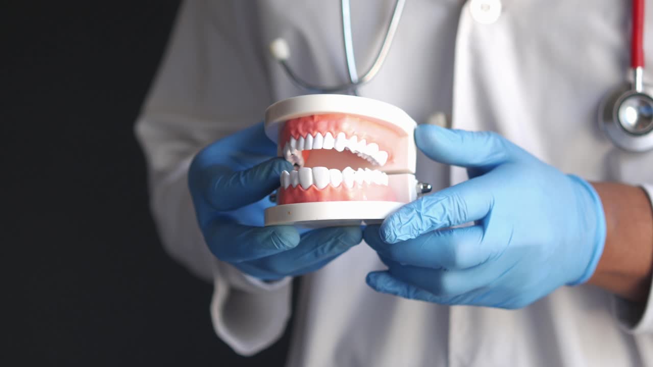 dentista con un modelo dental