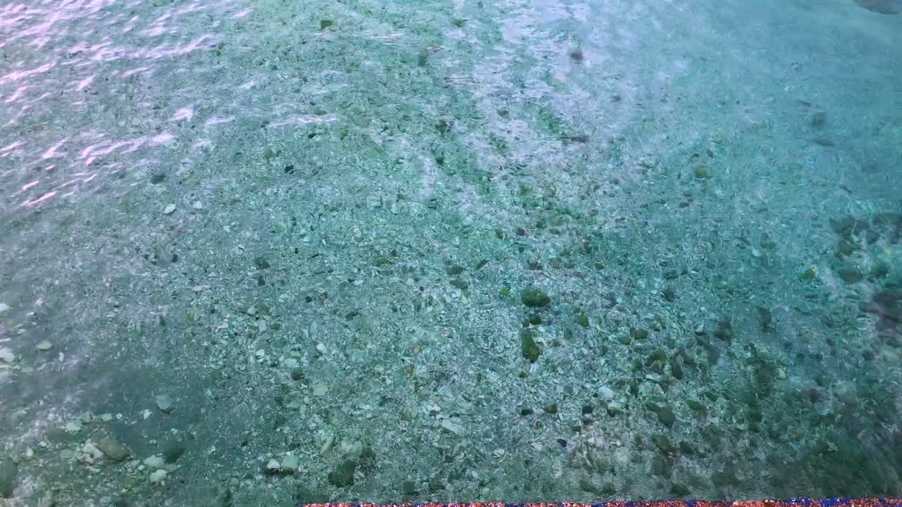 얕은 곳의 맑고 투명한 물은 거의 10피트 깊이에도 불구하고 뒤틀리고 구르며 깊이가 2피트에 불과한 것처럼 보입니다.