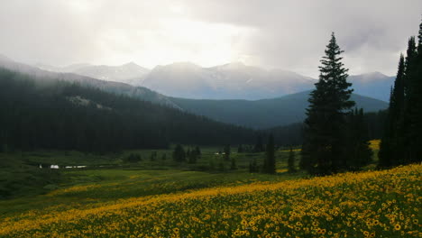 Low-hanging-clouds-moving-over-the-green-nature-with-yellow-flowers-and-the-high-mountains-in-Colorado