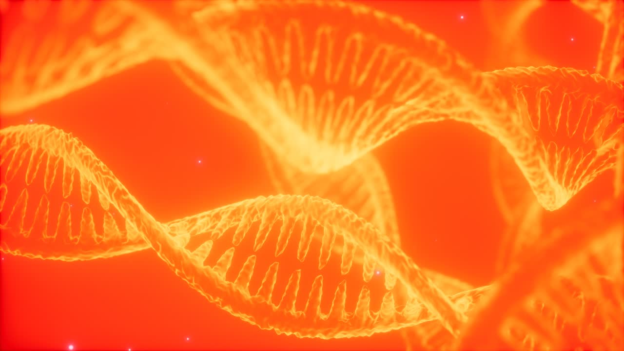 dna 이중 나선 애니메이션의 구조