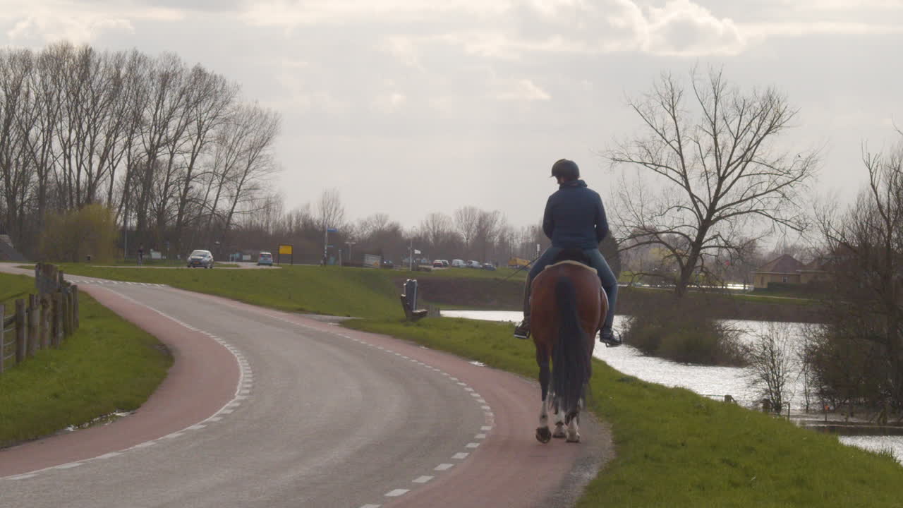 Woman riding horse over dike in the Netherlands