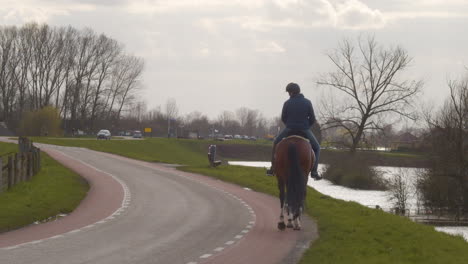 woman riding horse over dike in the netherlands