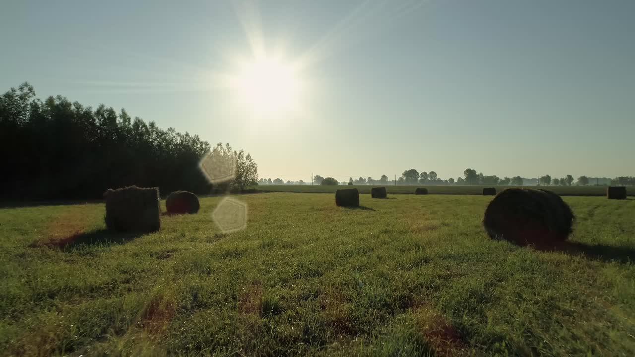 Green Wheat Rural Fields With Hay Bales Backlit Bright Sunlight