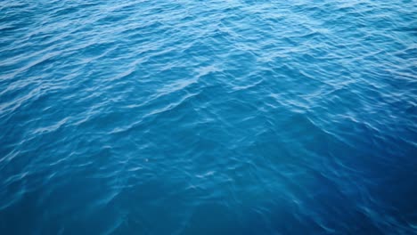 sailing across the open blue waves on a fine day -close up