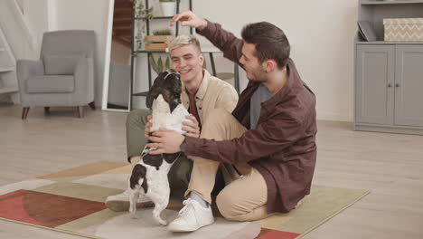couple having fun with french bulldog