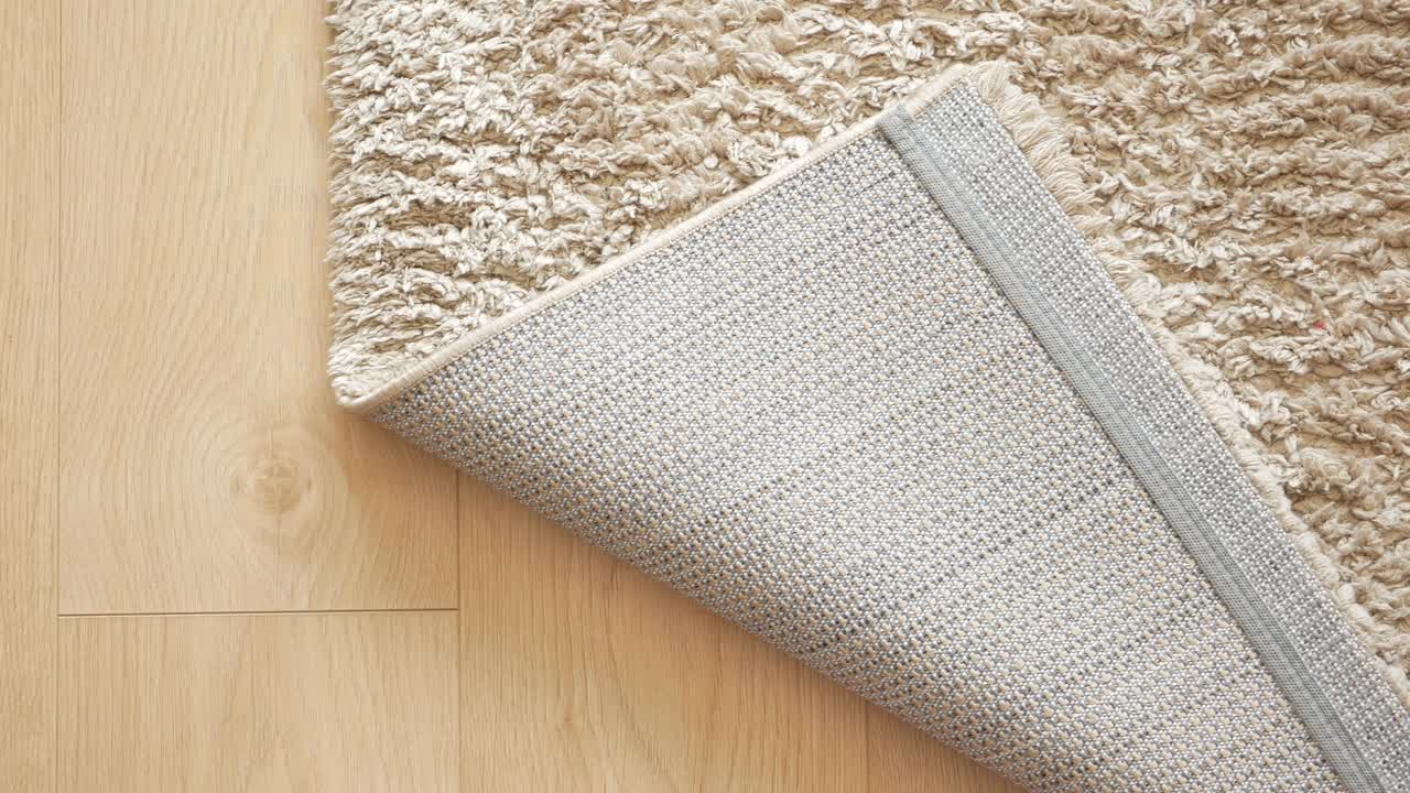 Beige Shag Rug on Wooden Floor