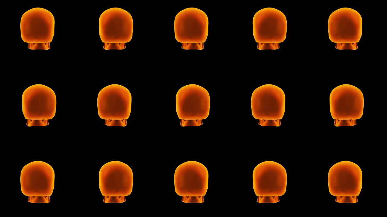 Orange skulls halloween background. 3d skull rotating on black background.