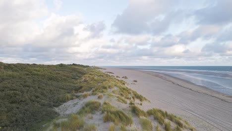 slow aerial flyover sandy grass dunes beside beach and blue water of north sea in netherlands