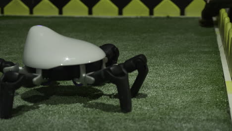 robot araña en el césped