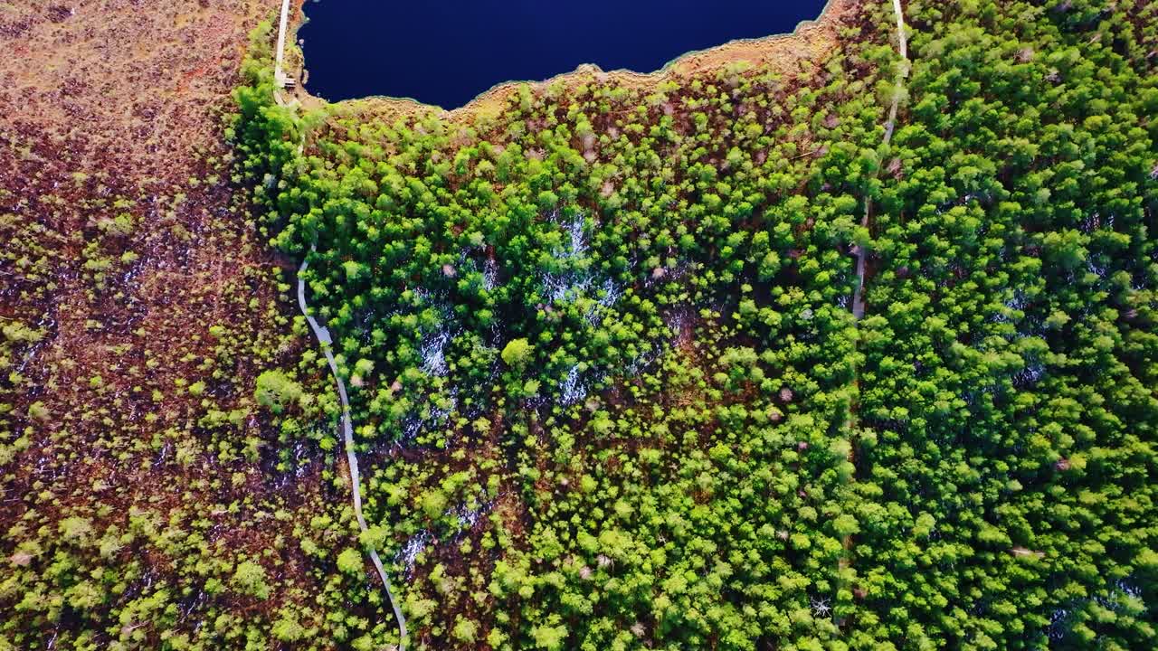 Sunset illuminates trees, oval-shaped Bezdibenis lake in Kalnansu bog, Latvia