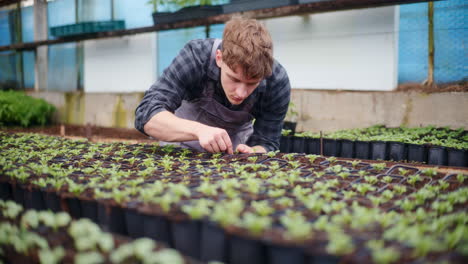 joven agricultor examinando plantas frescas