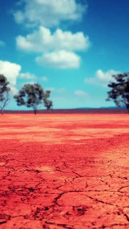 a wide shot of a red dirt desert with cracked earth, dry trees, and a blue sky with clouds