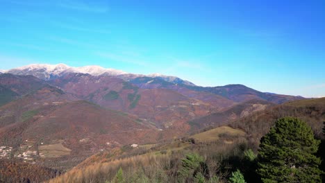 Flying-over-trees-in-Pyrenees-mountains-with-snow-on-the-top-of-the-peaks