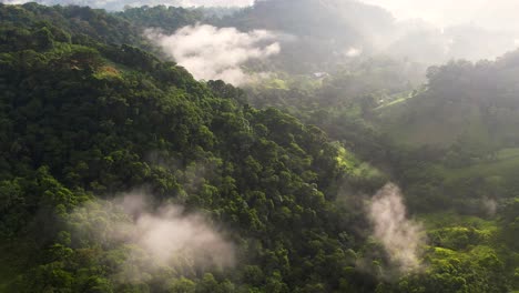 Luftaufnahme-Des-Nebligen-Grünen-Waldes-Im-Zentralamerikanischen-Dschungel,-Honduras