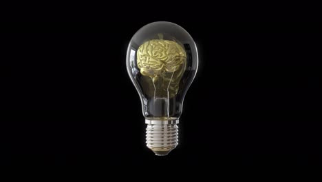 slow motion beautiful golden brain rotate inside lighting bulb rotate on black background. 3d animation. 4k