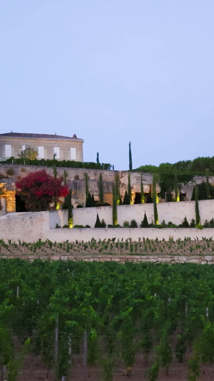 Chateau and vineyards at dusk in Bordeaux