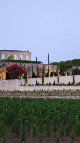 castillo y viñedos al anochecer en burdeos
