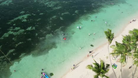 Experience-Paradise-at-Bohol's-Alona-Beach:-Topshot-Aerial-of-Palm-Trees,-Crystal-Clear-Waters,-and-Lively-Tourists