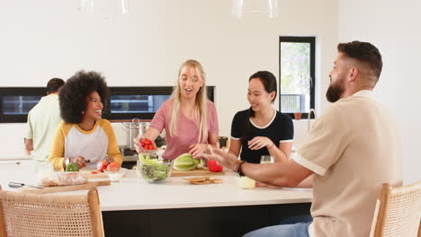 preparing meal, group of young friends chopping vegetables in kitchen