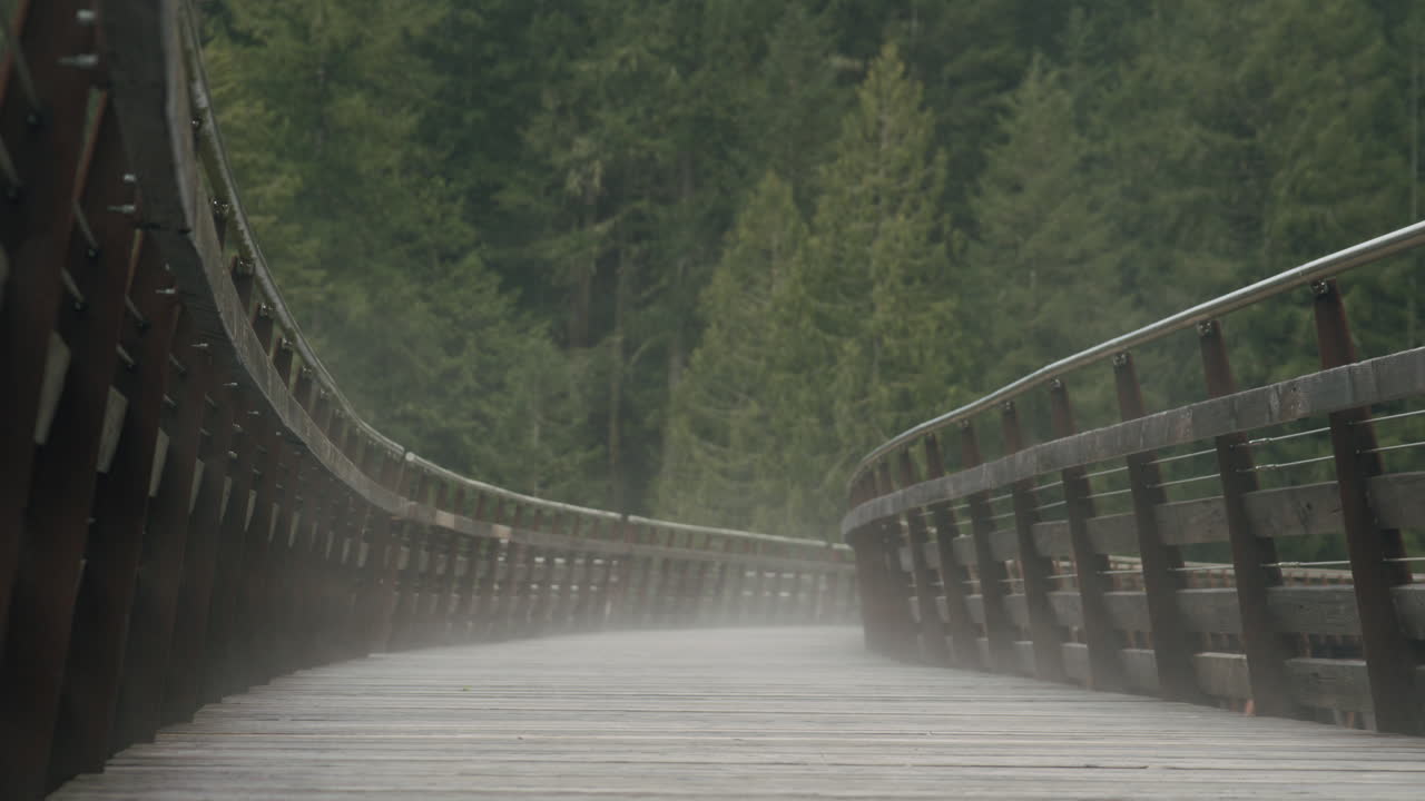 In the misty forest, an old train bridge exudes an enchanting allure. Weathered and surrounded by fog, it carries an air of mystery, beckoning exploration into a realm of forgotten stories.
