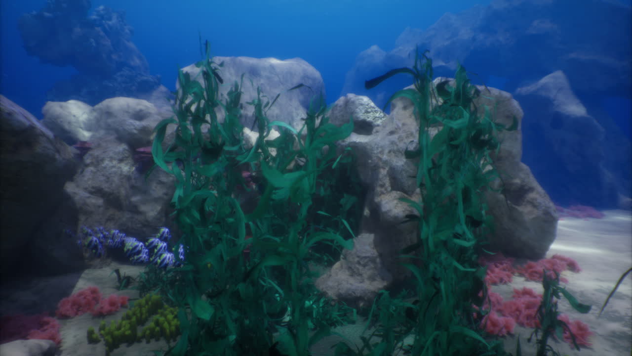 활기찬 해양 식물과 바위 형태를 보여주는 수중 풍경