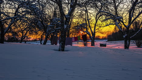 timelapse of golden sunrise behind leafless trees during snowy winter day