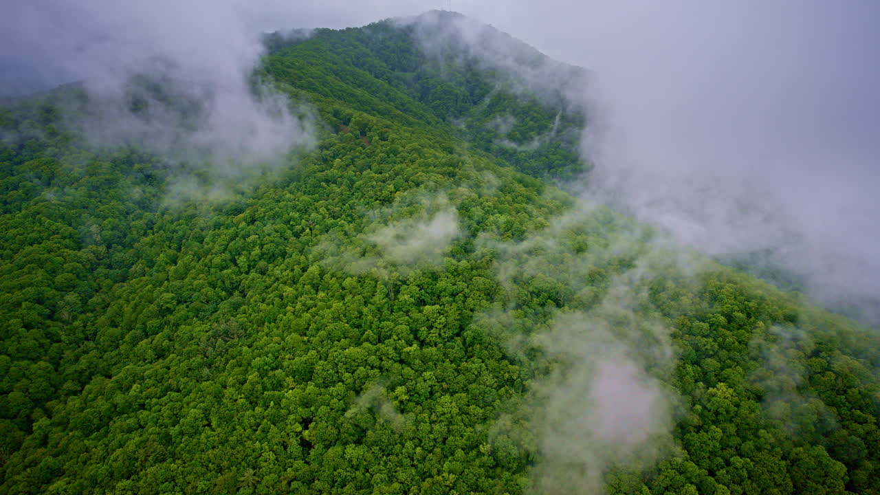 Cinematic elevation of fog-draped Appalachian ridgelines