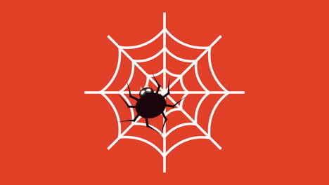 feliz animación de halloween con araña en la red