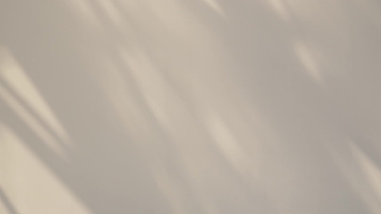 Shadow background of natural tree leaves on white wall texture
