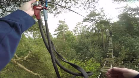 Walking-Across-Tree-Top-Bridge