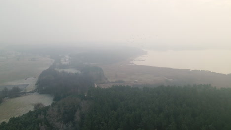 Aerial-View-Of-The-Bartoszylas,-Poland-With-Green-Trees-and-Calm-Sea