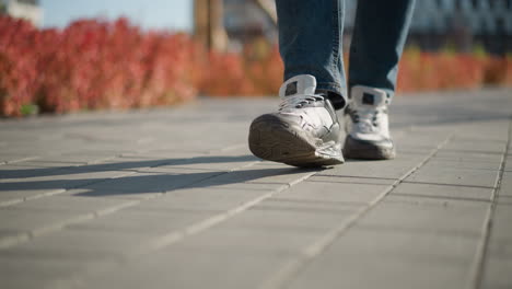 close up leg view of person in jeans and canvas sneakers walking down interlocked pavement path during sunny day with shadow cast on ground and red bushes and urban blur visible in background