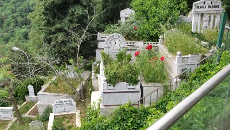 graveyard with beautiful landscaping