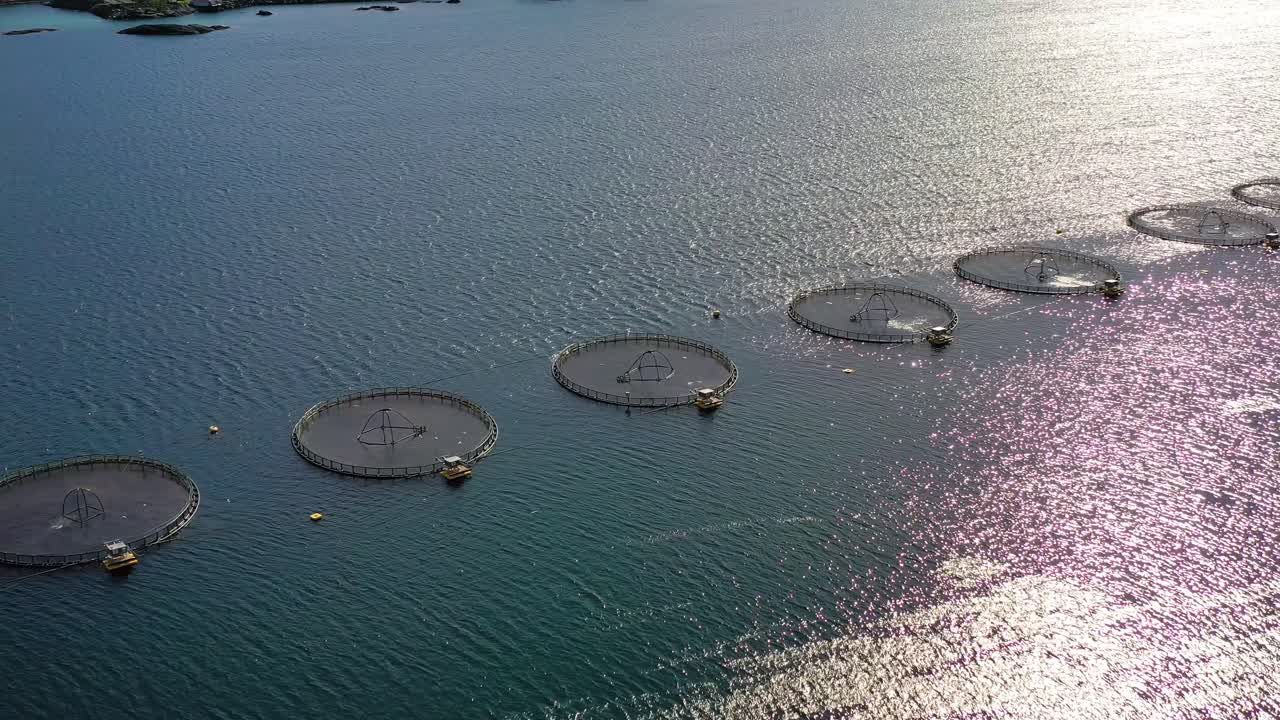 노르웨이에서 연어  ⁇ 시를 하는 공중 촬영